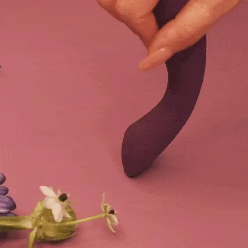 AMY 2 VIBRATOR - Image 3